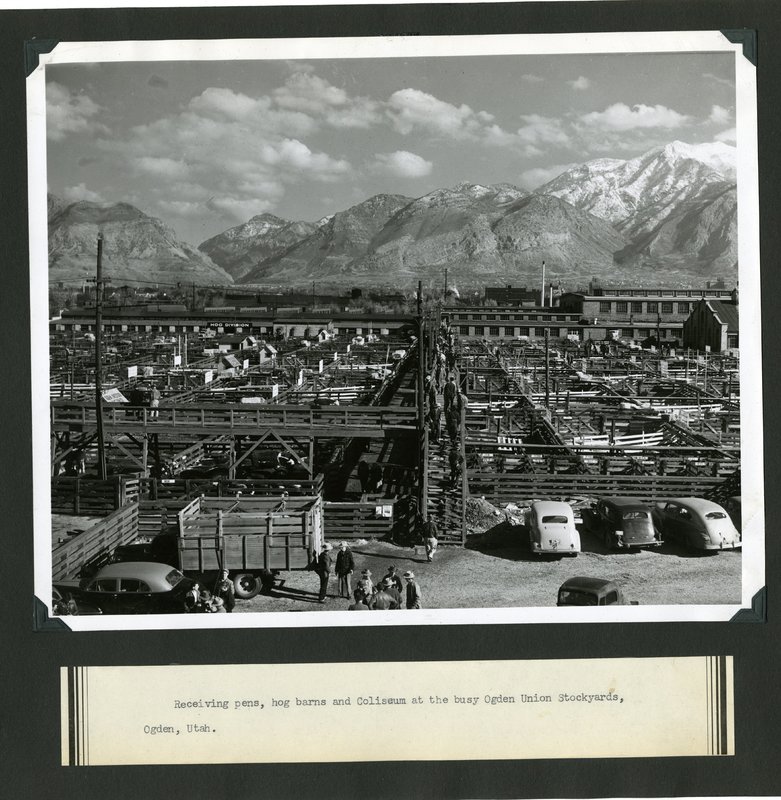 Ogden Stockyards, c. 1940