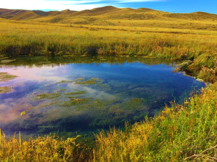The Sulphur Spring