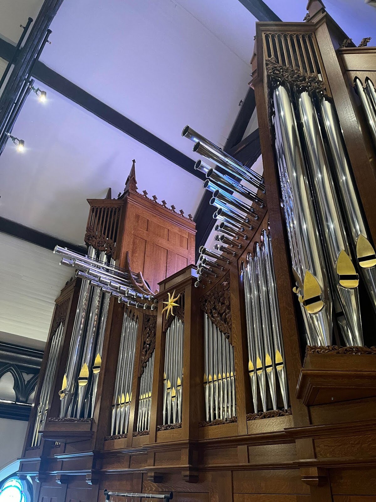 Organ