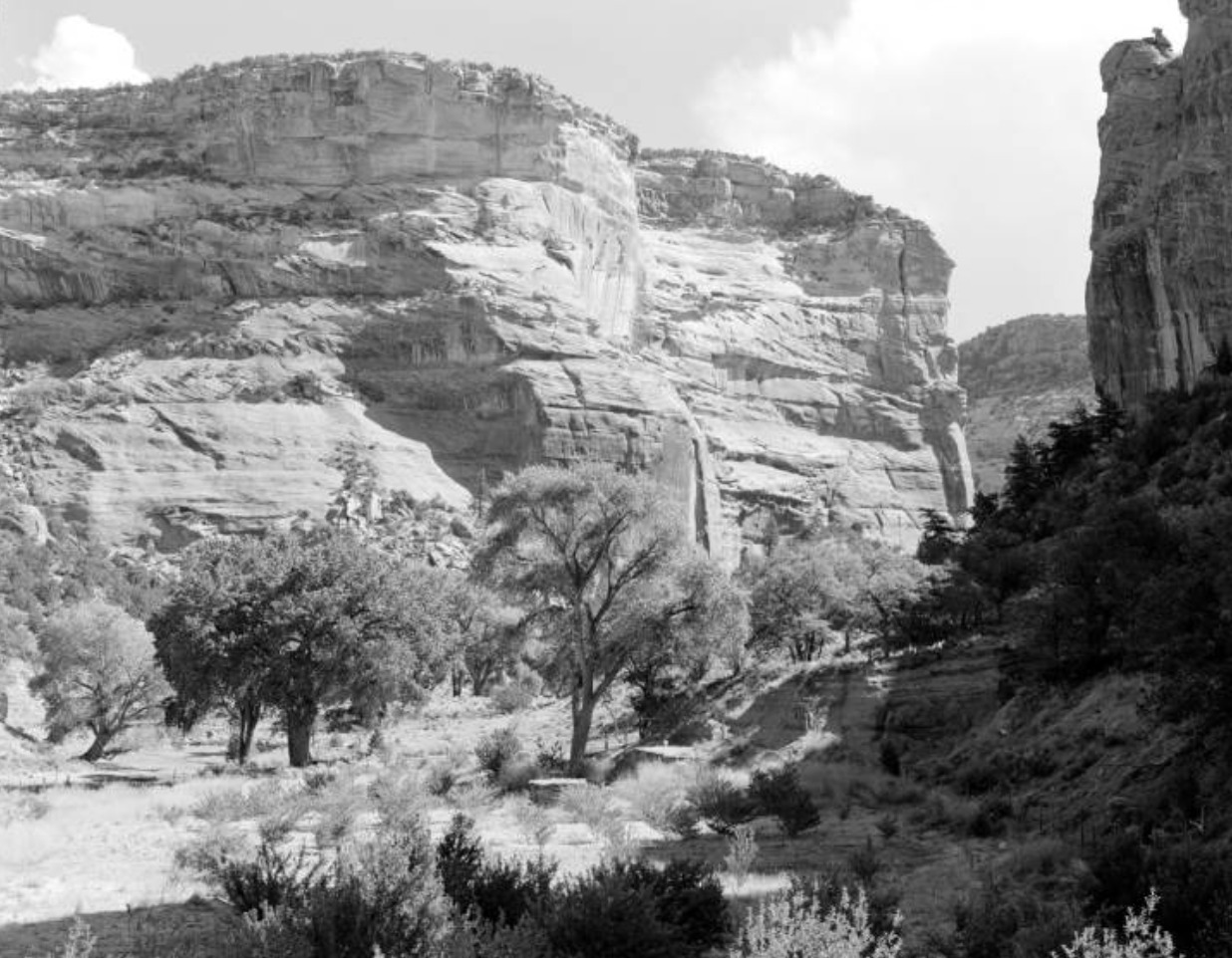 Canyon de Chelly’s Canyon del Muerto, 1955