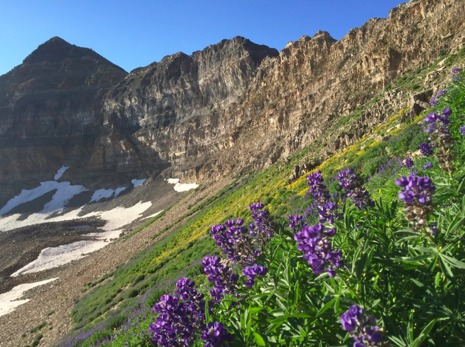 Looking Towards the Summit of Mount Timpanogos