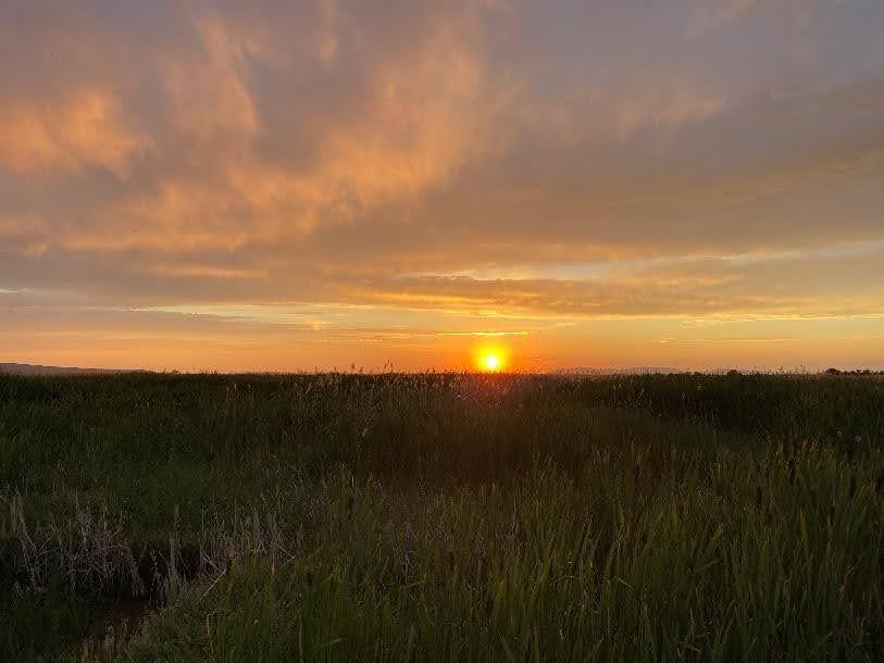Great Shorelands Preserve <br />