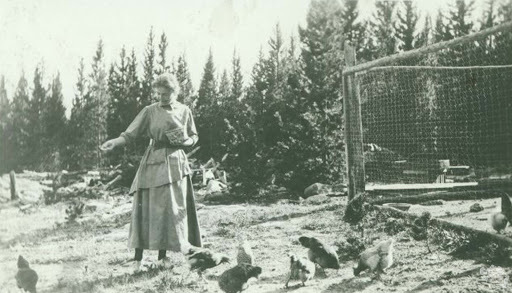 Katherine Garetson feeding chickens<br />
