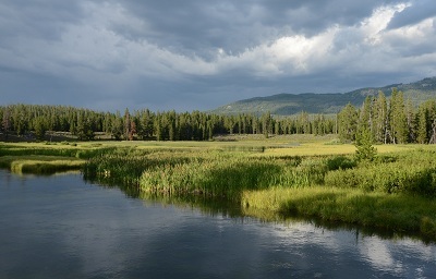 Grassy Lake