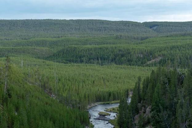 Yellowstone National Park, August 30, 2019