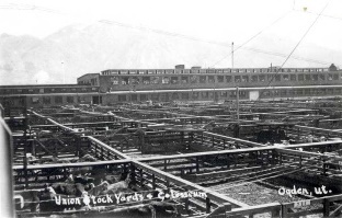 1950 photograph overlooking pens with colosseum in background