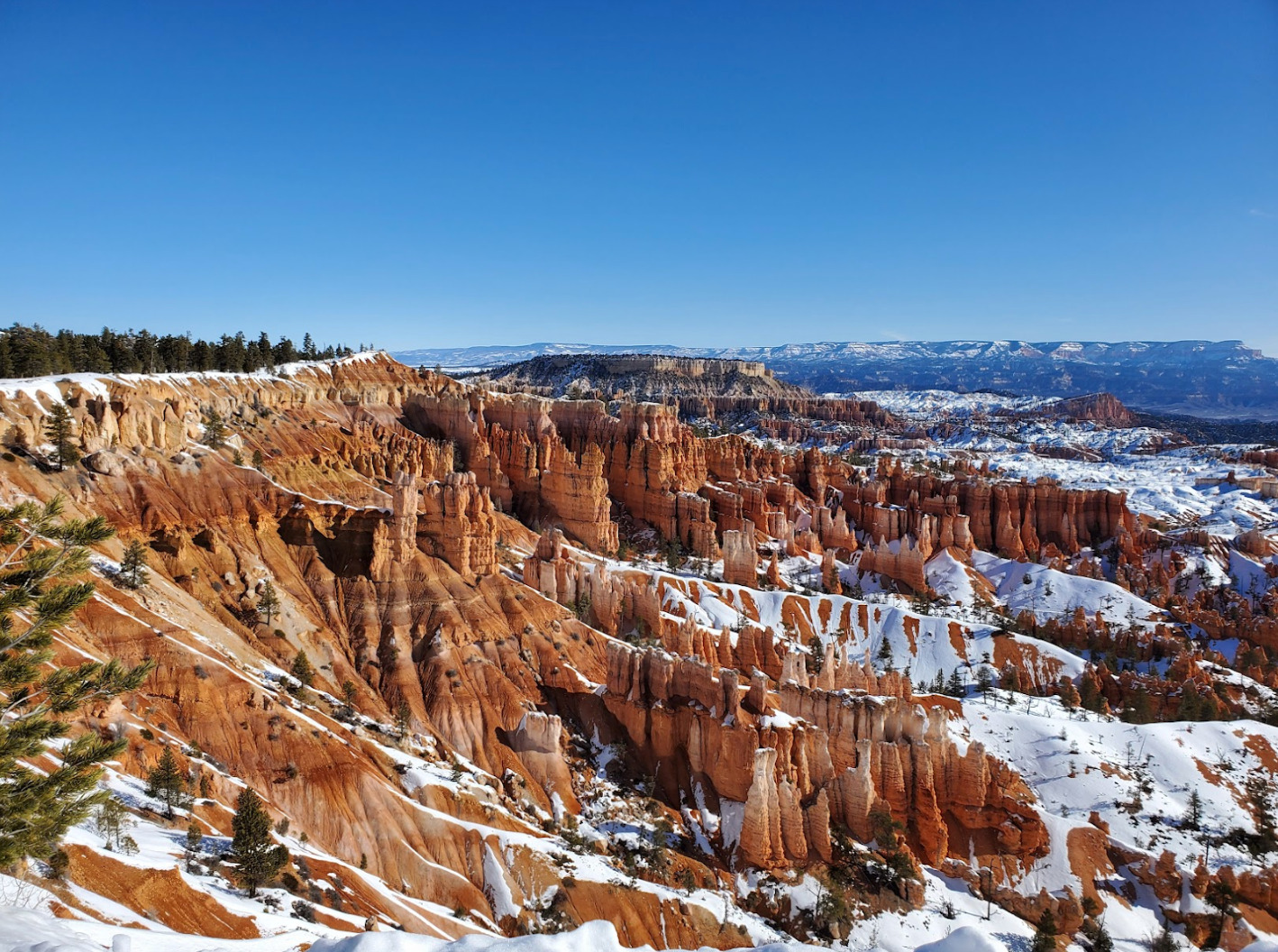 Snow on the Rim of Bryce Canyon