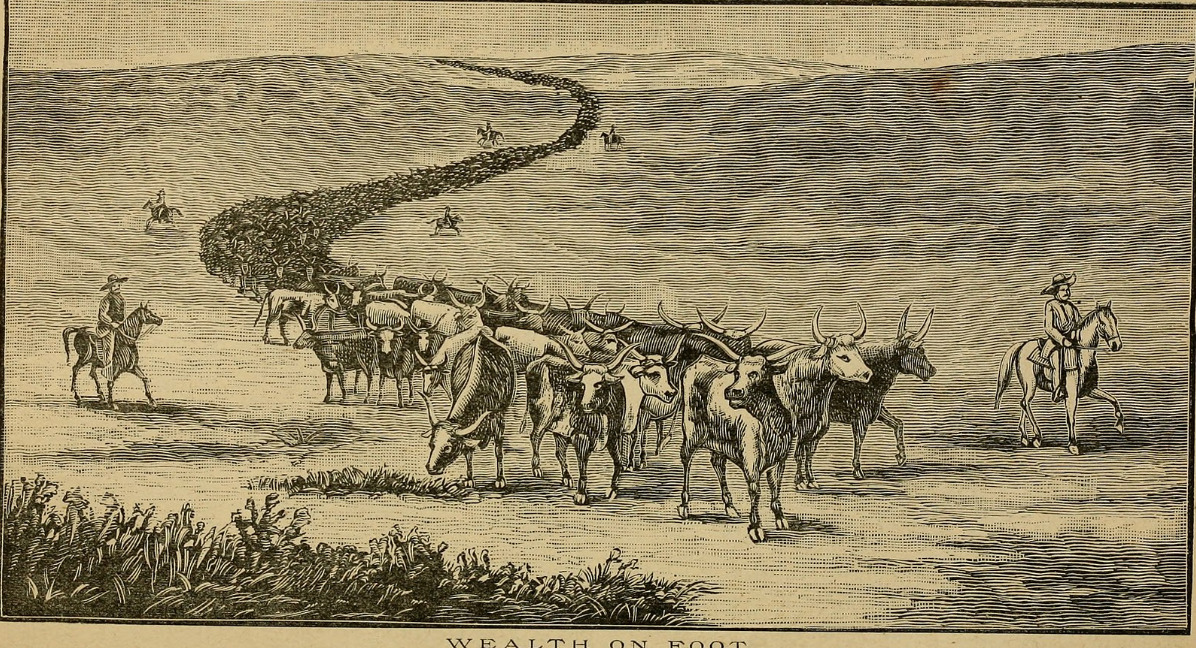 Artist's depiction of cattle herding in Arizona.