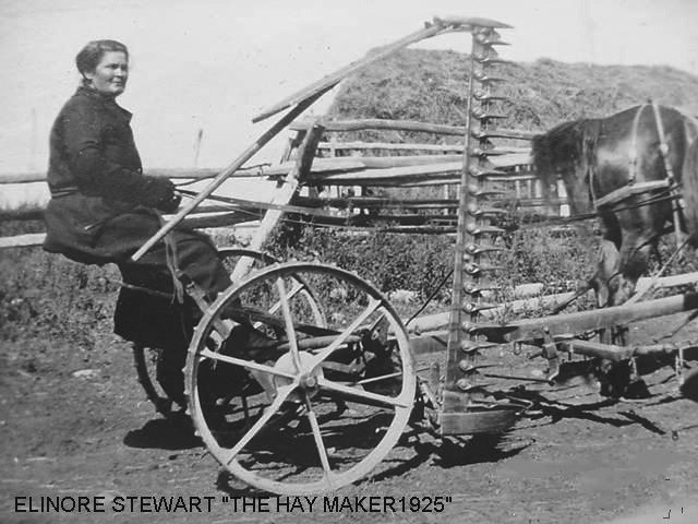 Elinore on hay maker<br />