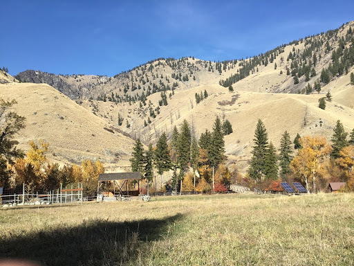 The forested landscape has become a grassland in some areas due to a major fire in 2000. <br />
