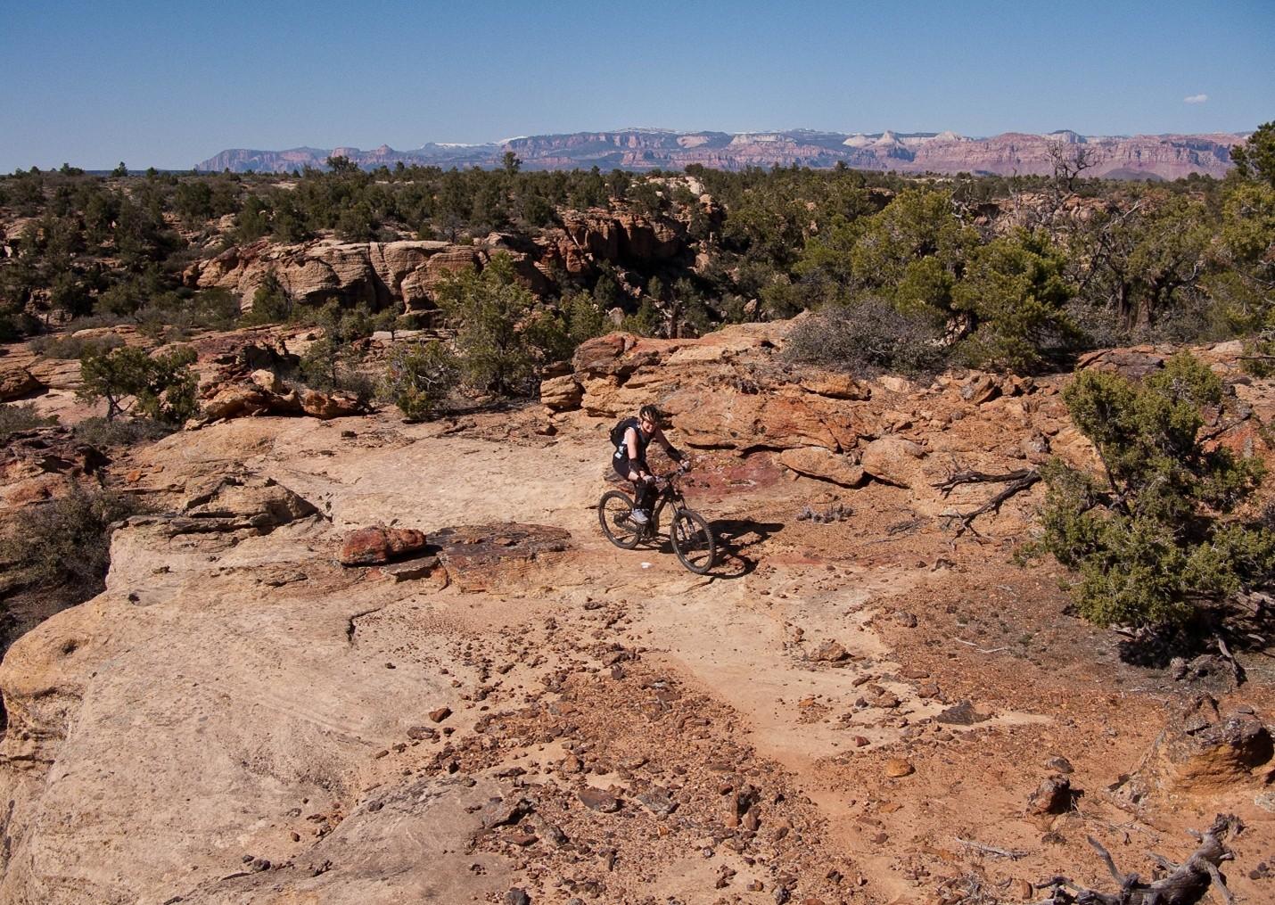 Harris Secret Trail