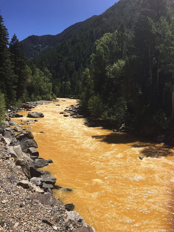 Animas River