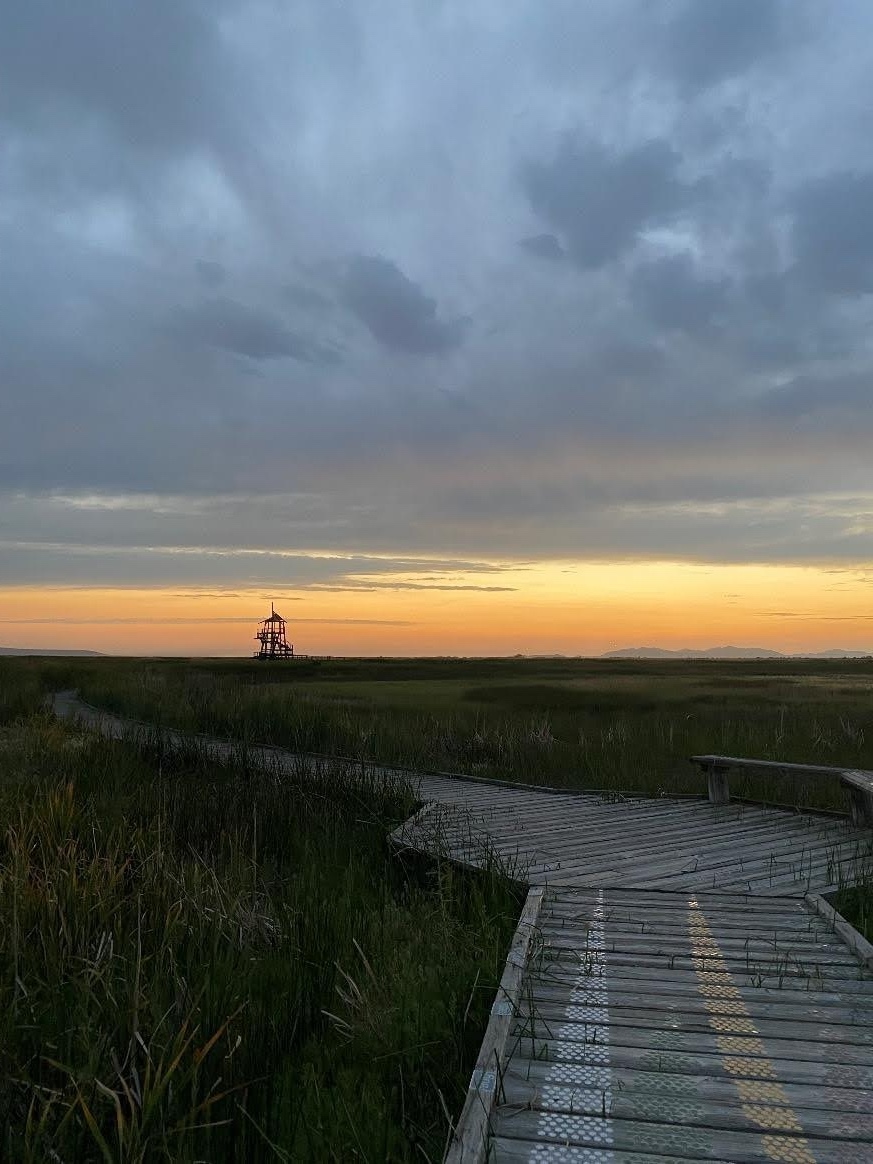 Viewing Tower