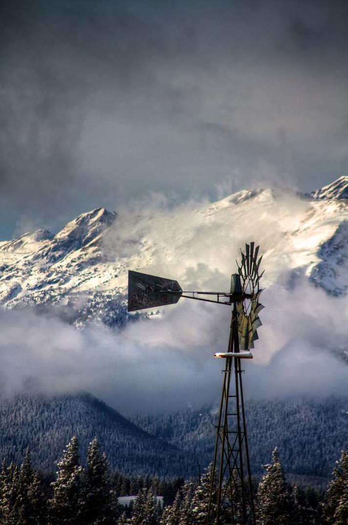 Lynx habitat in Blue Sky Basin
