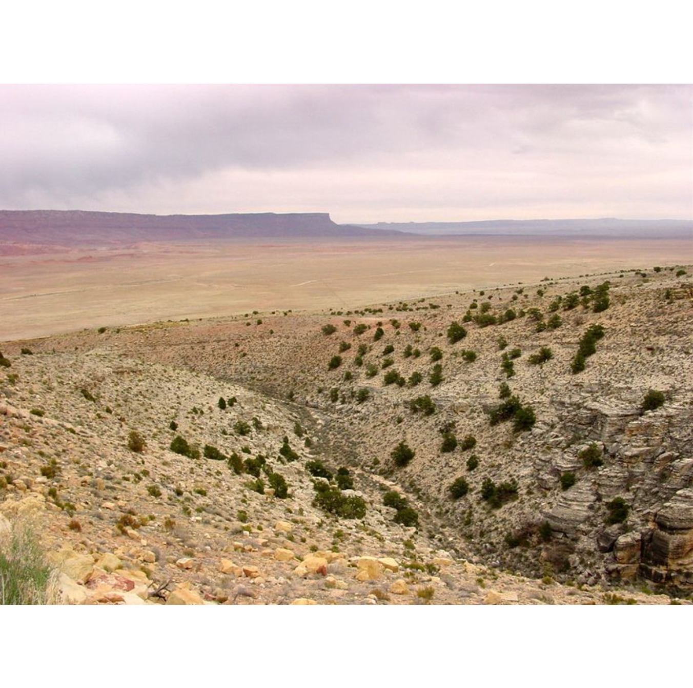 Arizona Strip