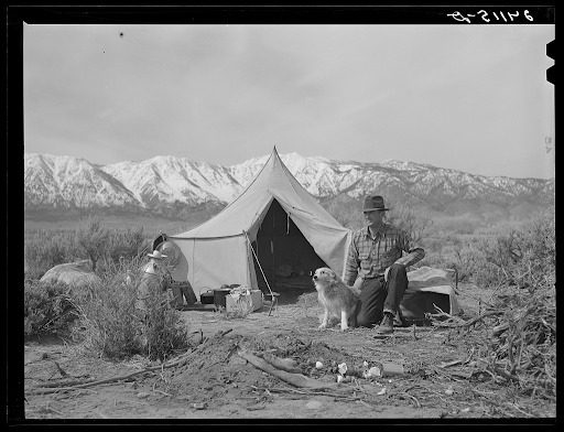Basque sheepherder.