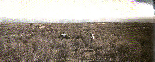Cecelia Weiss’ Property<br />