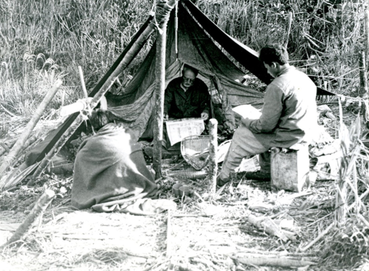 Bassett Maguire going over their finds during one of his expeditions for his Intermountain Flora project in Neblina
