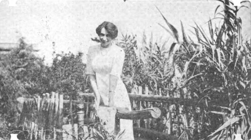 Cecelia Weiss’ Homestead Garden<br />