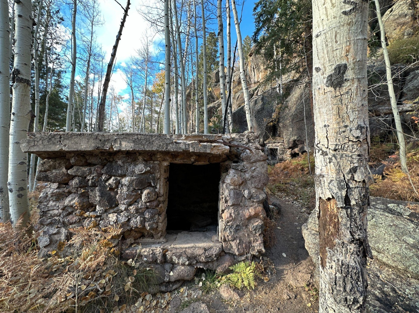 Veit Springs