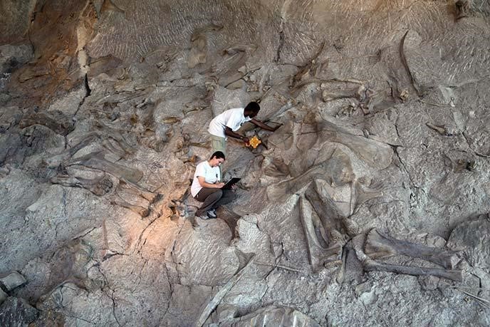 Geologists in the Quarry